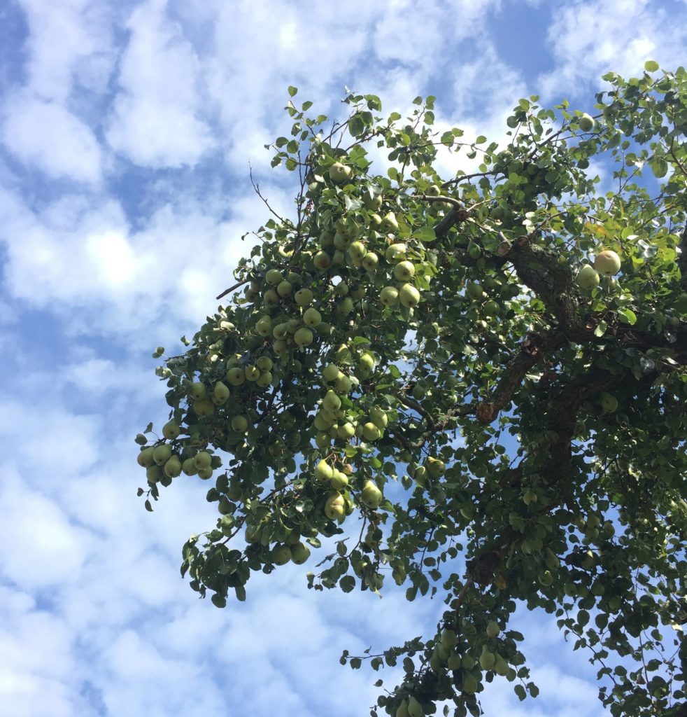#waswar im September – Monatsreview